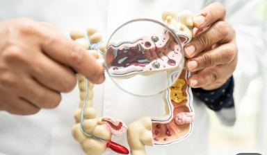Gut Health